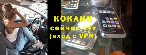 не бодяженный Бородино