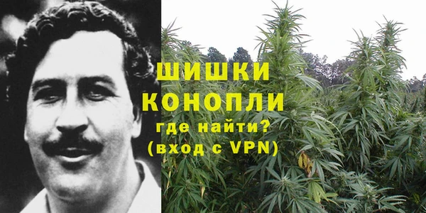 не бодяженный Бородино