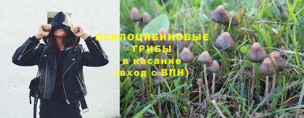 не бодяженный Бородино