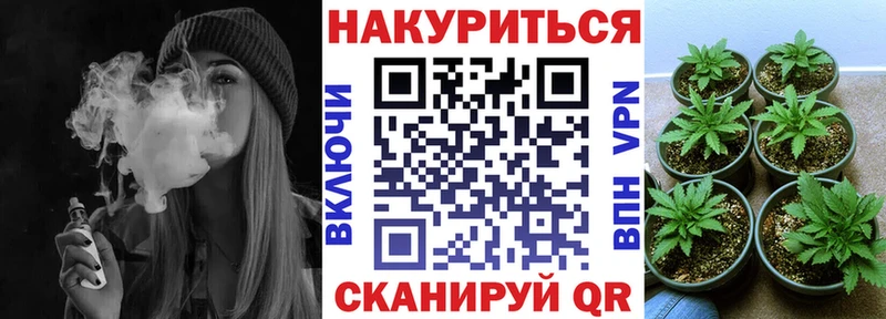 Каннабис план  Яровое 
